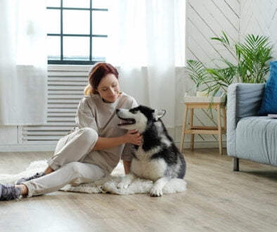 pets flooring pets flooring